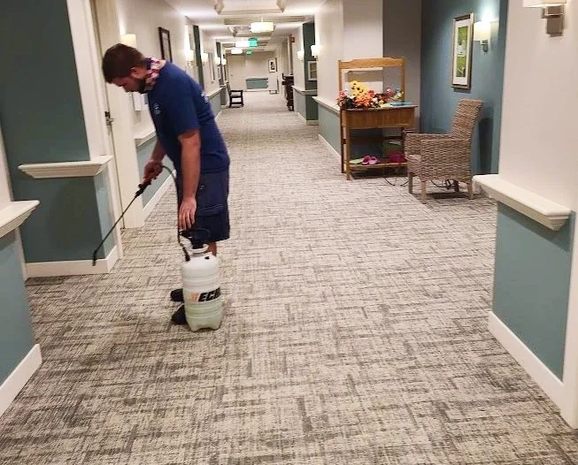 experts cleaning carpets